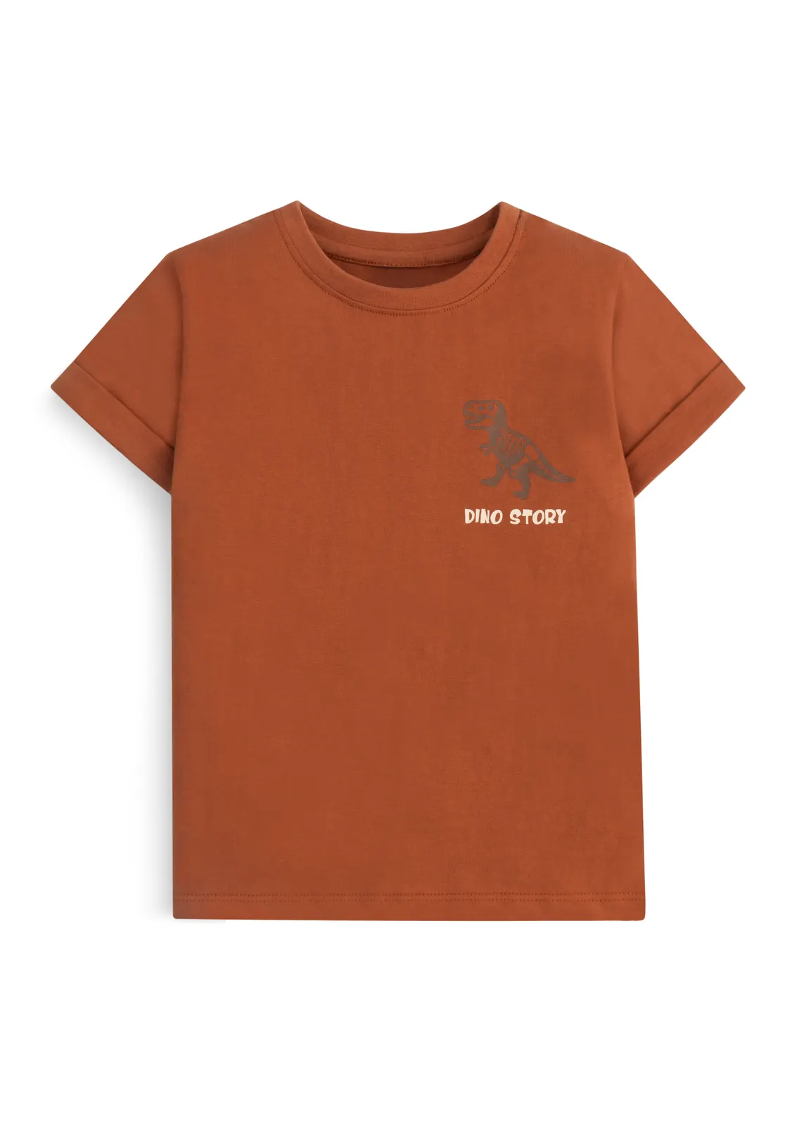 Jungen-T-Shirt in Rostbraun mit Dino-Story-T-Rex-Brustprint, Vorderansicht